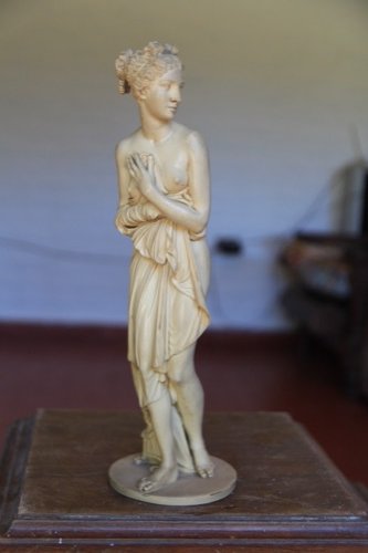 Figura de Venus